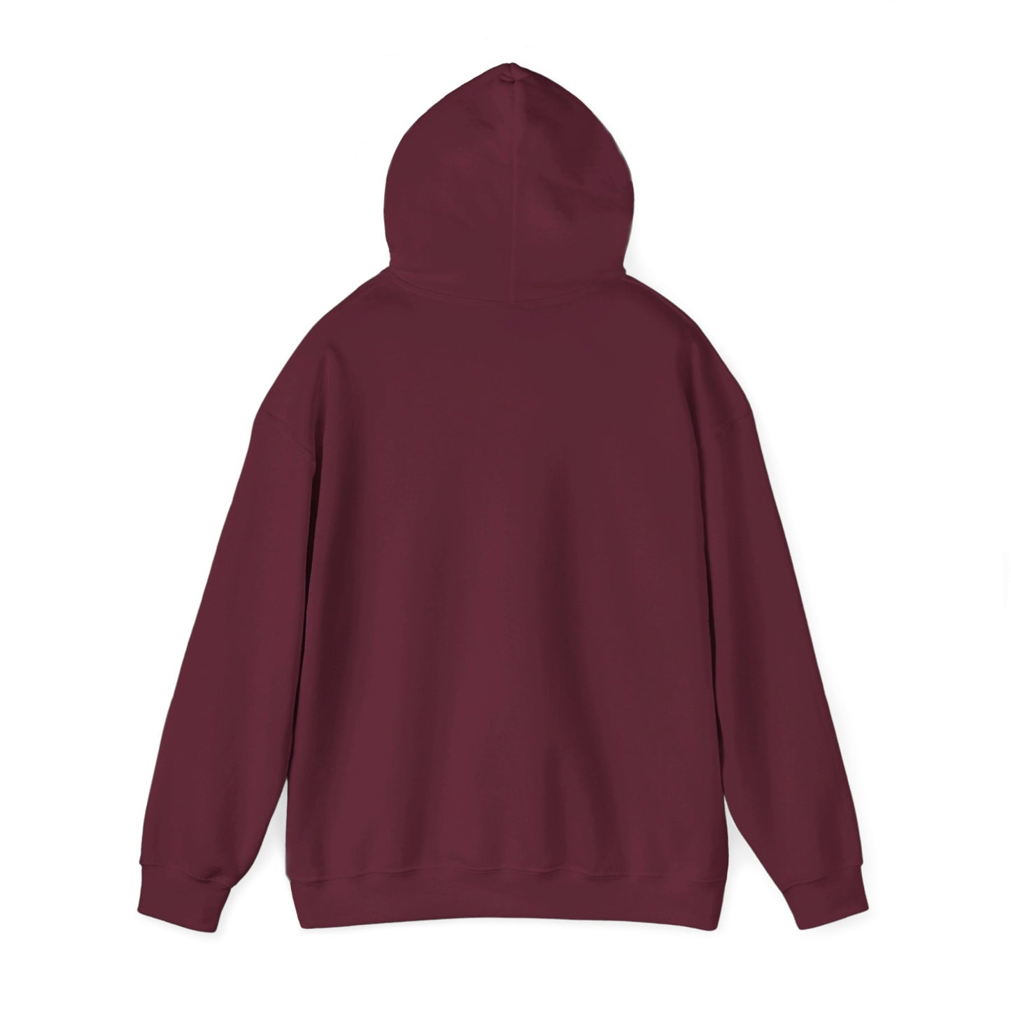 FoHi Steelers Football Hooded Sweatshirt - Cool Dog Teez LLC