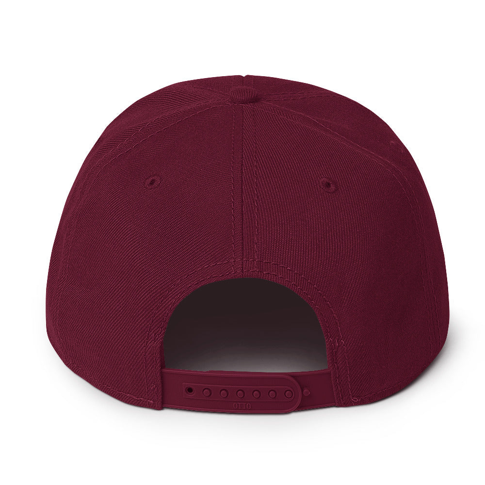 FoHi Snapback Hat - Cool Dog Teez LLC