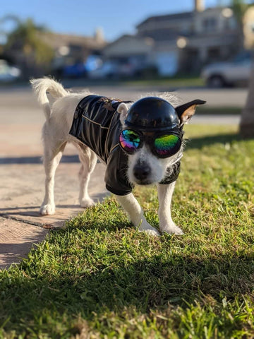 Cool Dog Teez family and founder