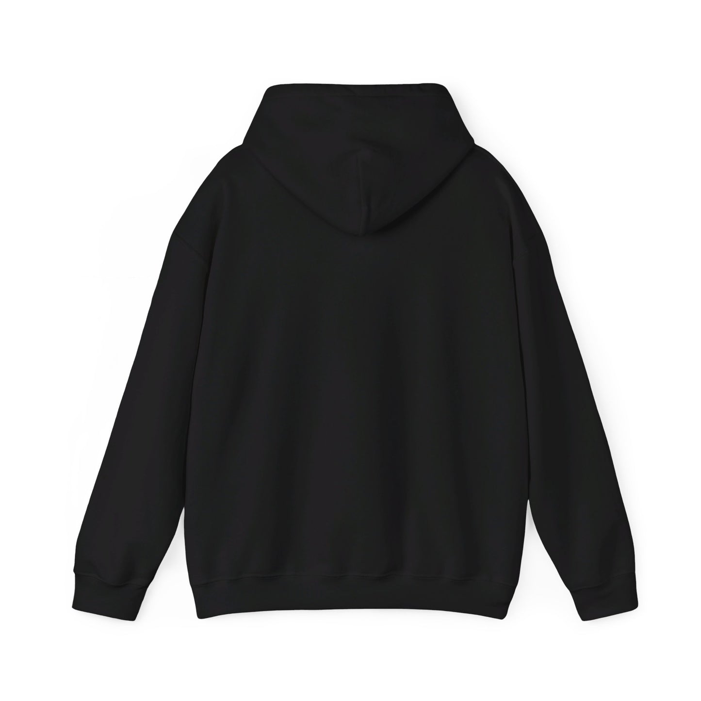 YOU BETTER HIT SOMEBODY Hooded Sweatshirt - Cool Dog Teez LLC