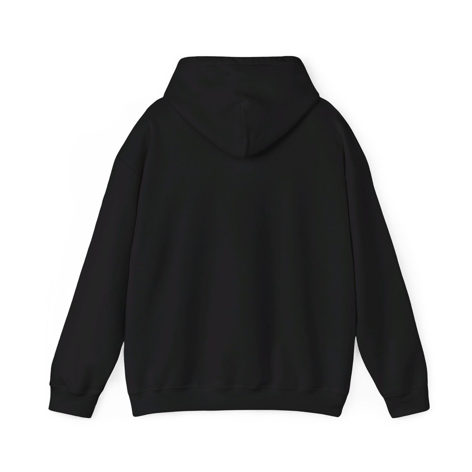 YOU BETTER HIT SOMEBODY Hooded Sweatshirt - Cool Dog Teez LLC