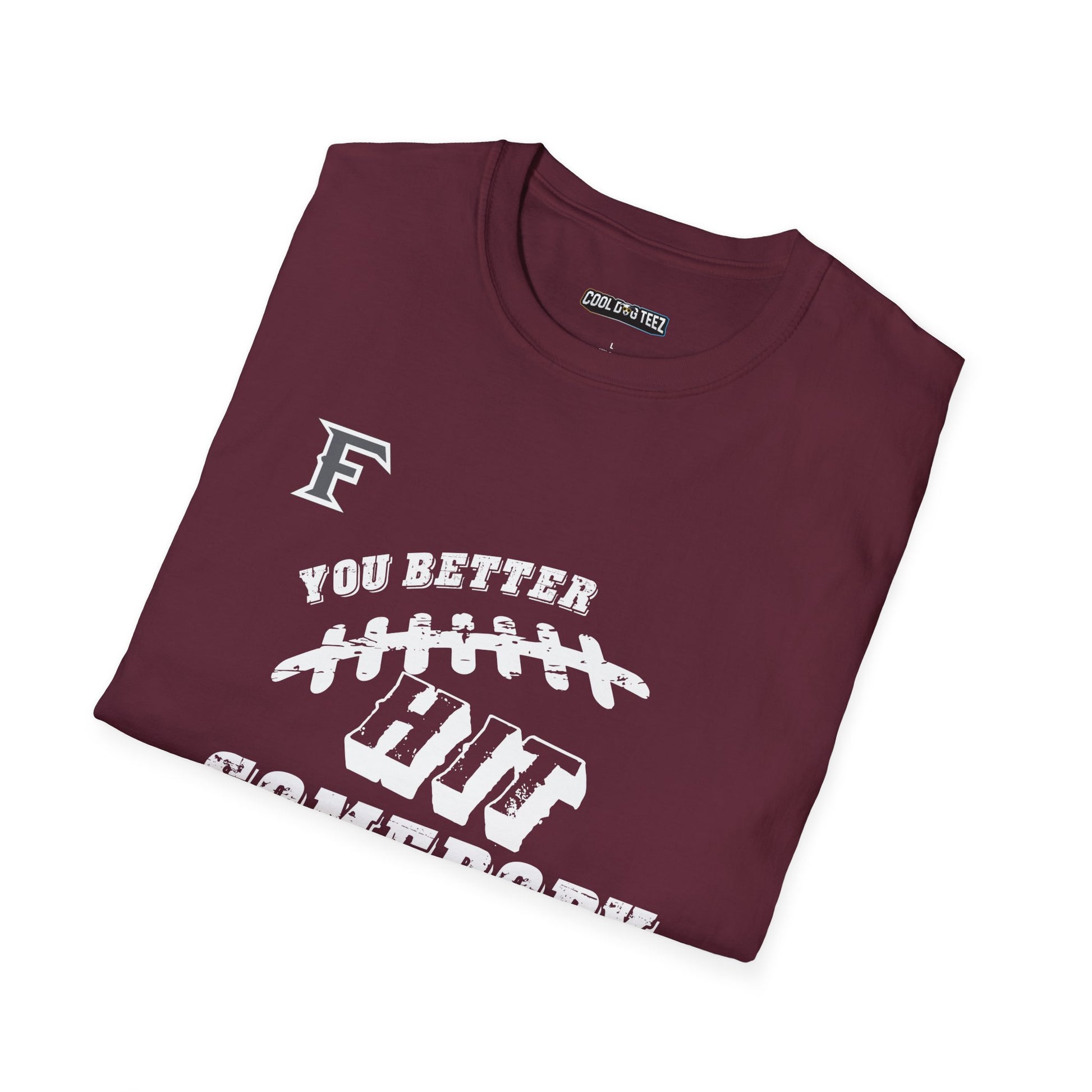 YOU BETTER HIT SOMEBODY T-Shirt - Cool Dog Teez LLC