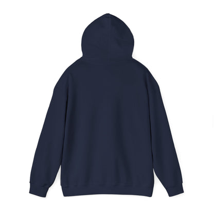 New Year Countdown Hoodie | 2026 Goals, New Year Motivation - Cool Dog Teez LLC