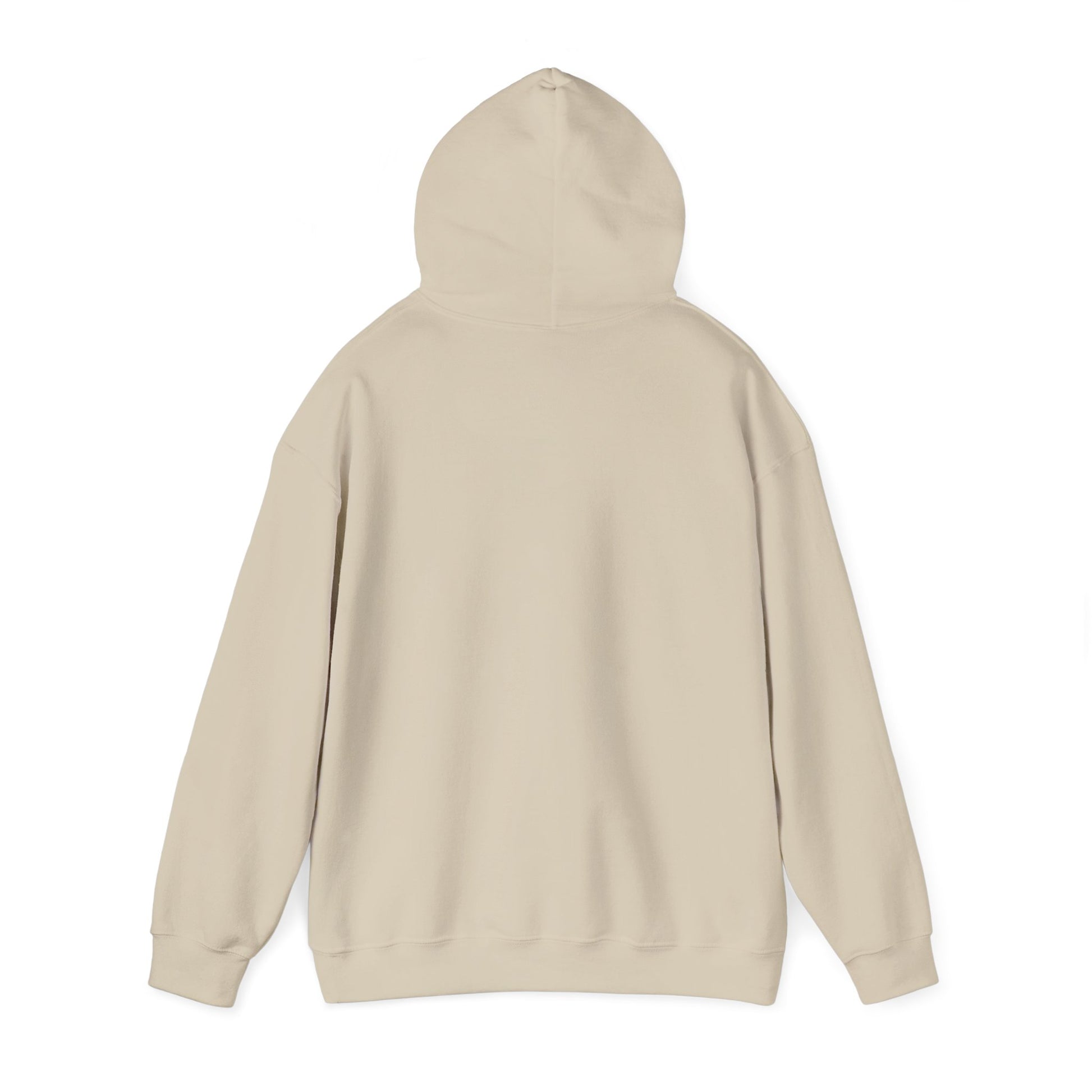New Year Countdown Hoodie | 2026 Goals, New Year Motivation - Cool Dog Teez LLC