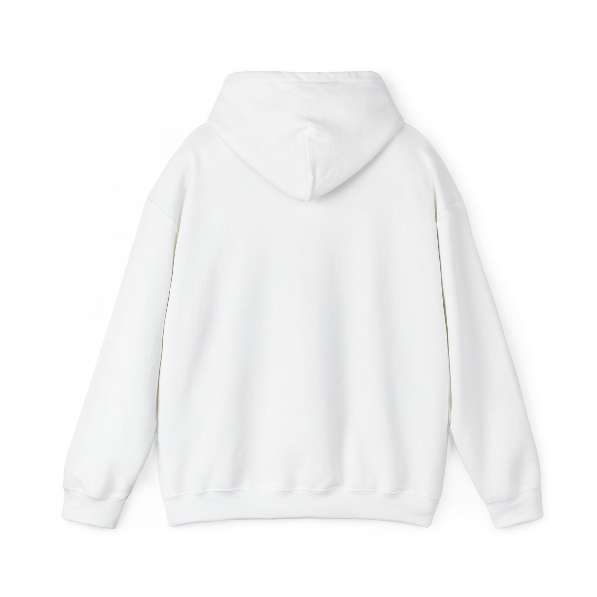 New Year Countdown Hoodie | 2026 Goals, New Year Motivation - Cool Dog Teez LLC