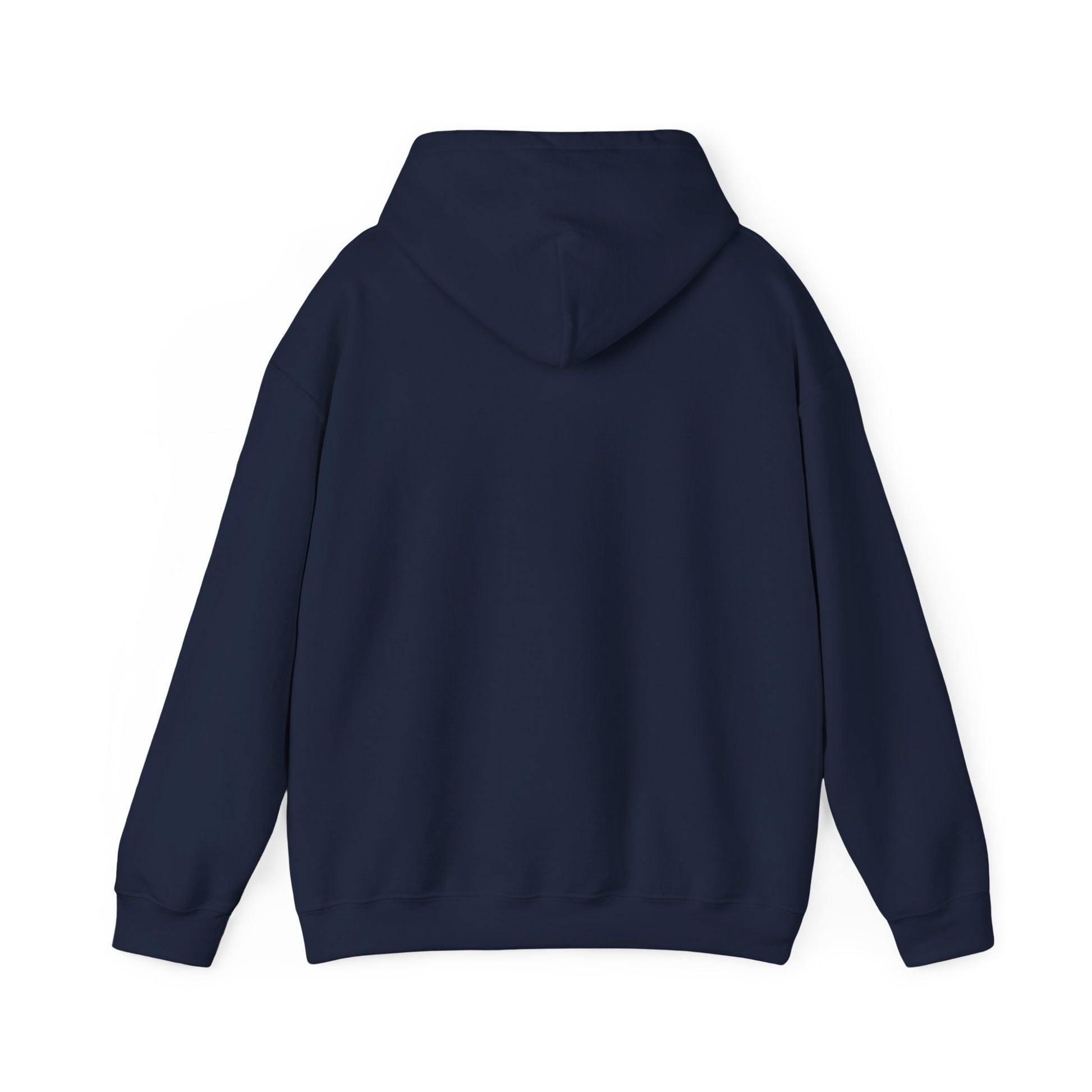 New Year Countdown Hoodie | 2026 Goals, New Year Motivation - Cool Dog Teez LLC