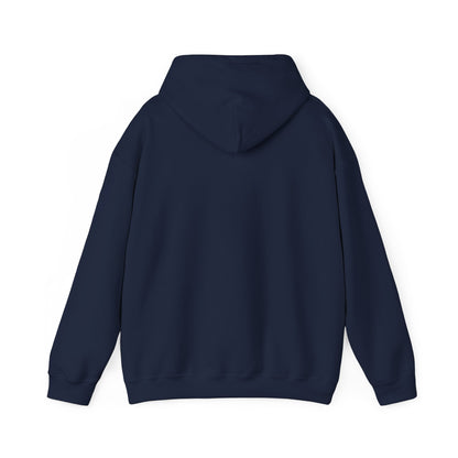 New Year Countdown Hoodie | 2026 Goals, New Year Motivation - Cool Dog Teez LLC