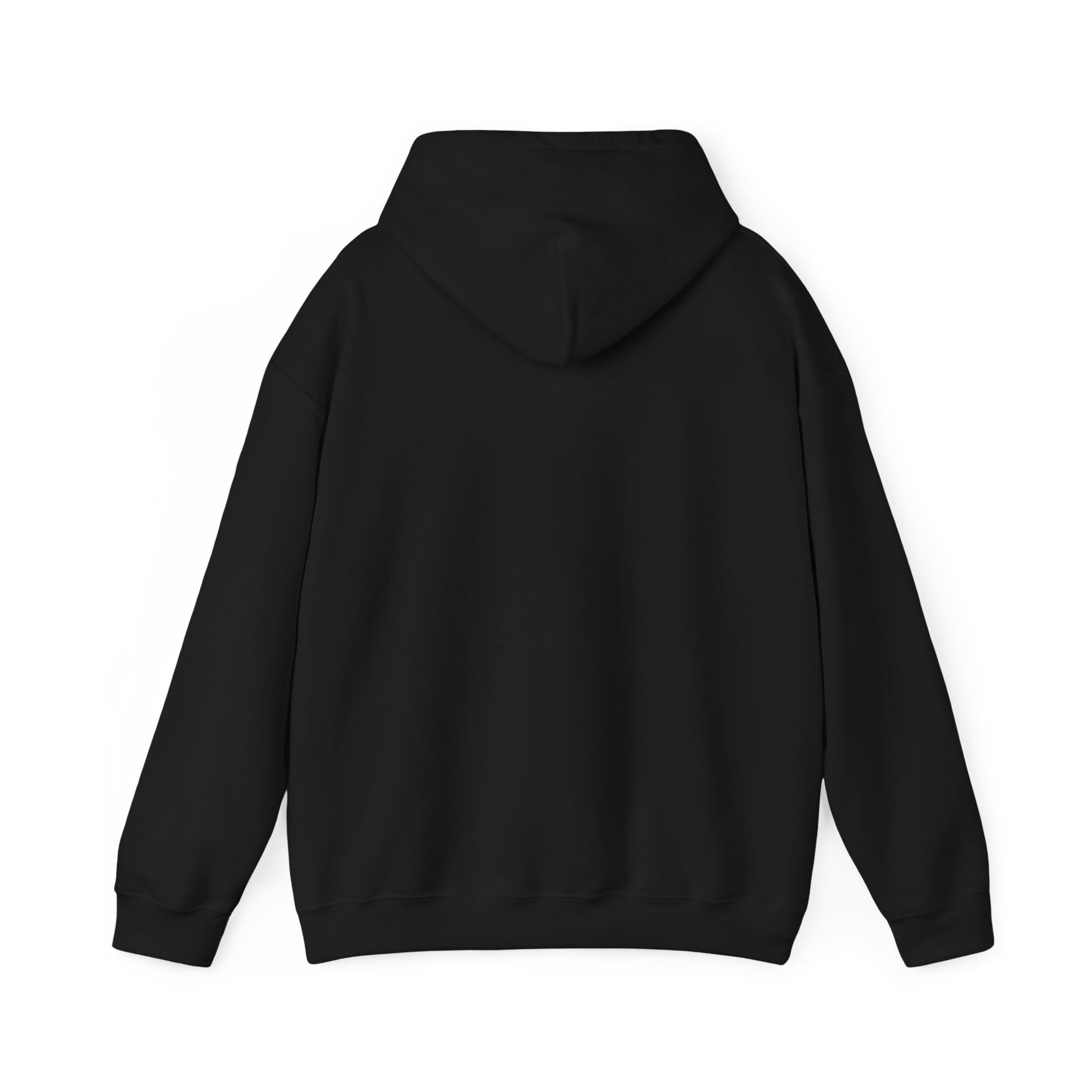 New Year Countdown Hoodie | 2026 Goals, New Year Motivation - Cool Dog Teez LLC