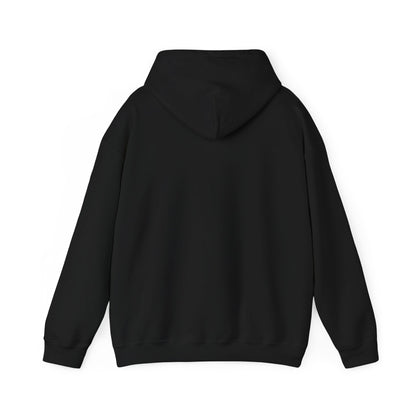 New Year Countdown Hoodie | 2026 Goals, New Year Motivation - Cool Dog Teez LLC