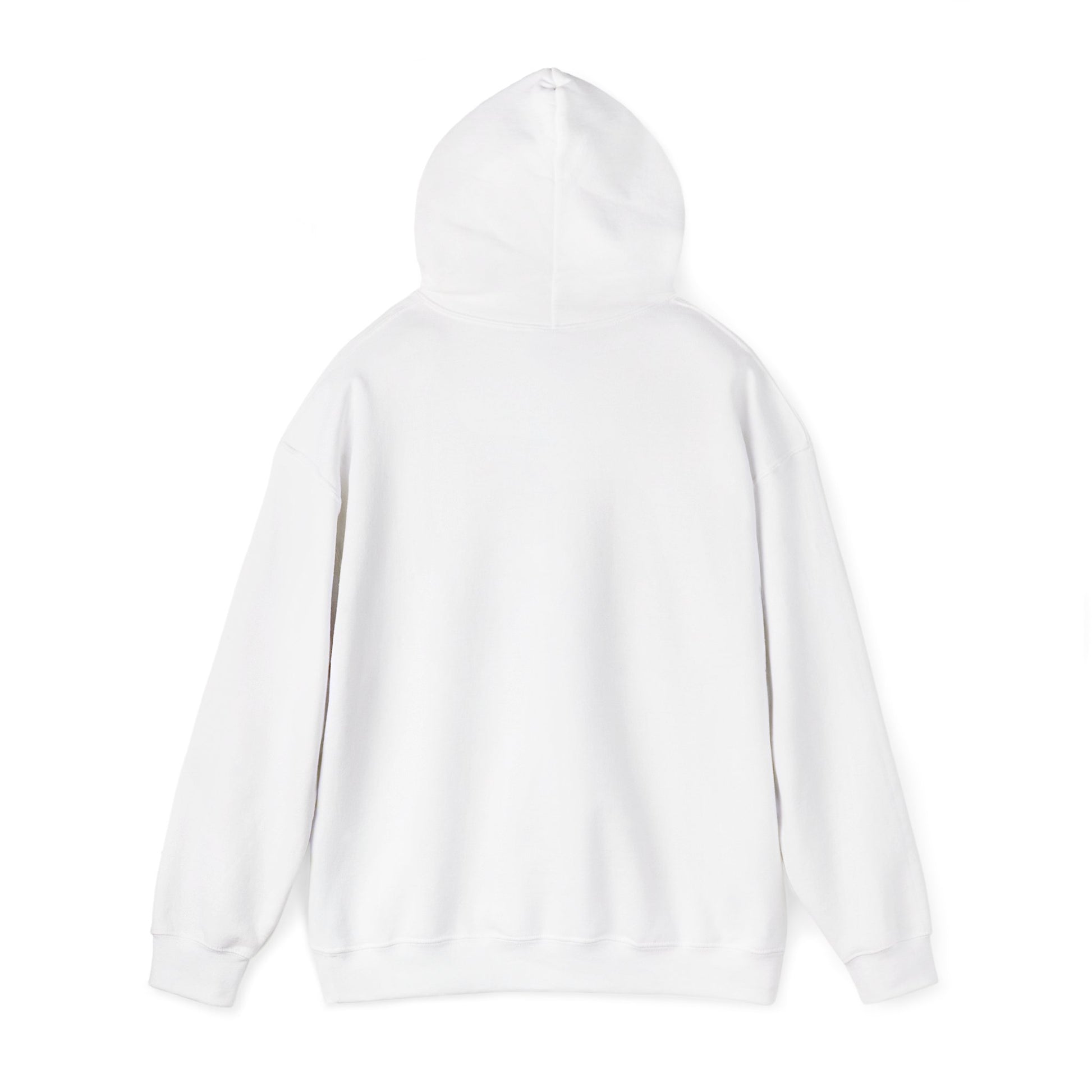 New Year Countdown Hoodie | 2026 Goals, New Year Motivation - Cool Dog Teez LLC