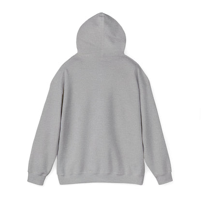 New Year Countdown Hoodie | 2026 Goals, New Year Motivation - Cool Dog Teez LLC