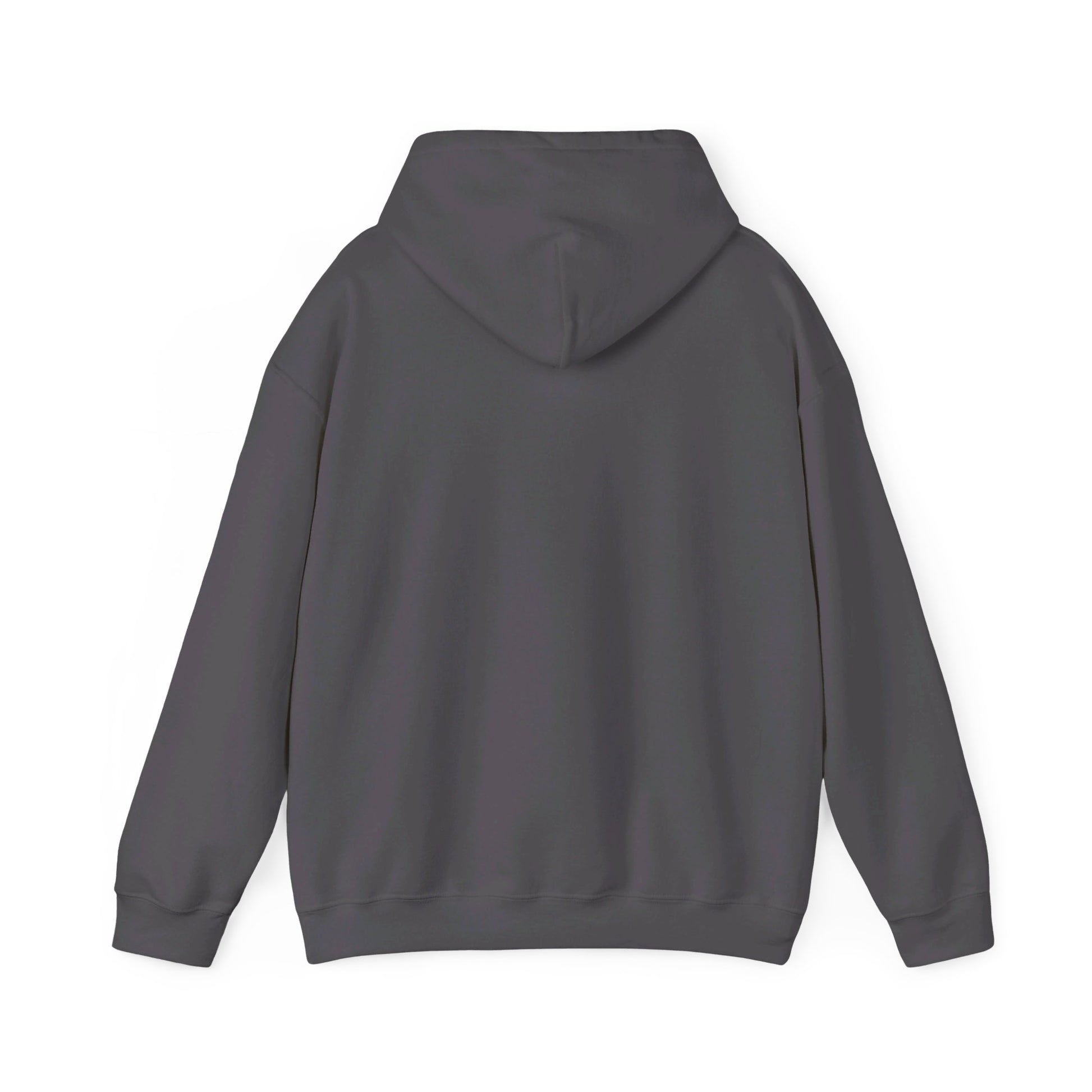YOU BETTER HIT SOMEBODY Hooded Sweatshirt - Cool Dog Teez LLC