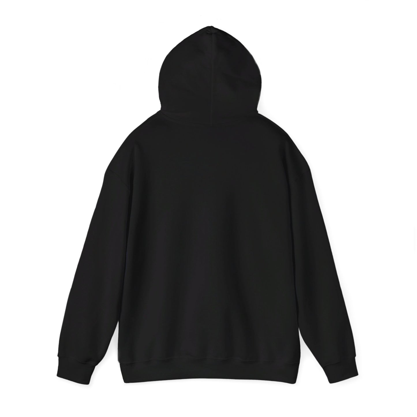YOU BETTER HIT SOMEBODY Hooded Sweatshirt - Cool Dog Teez LLC