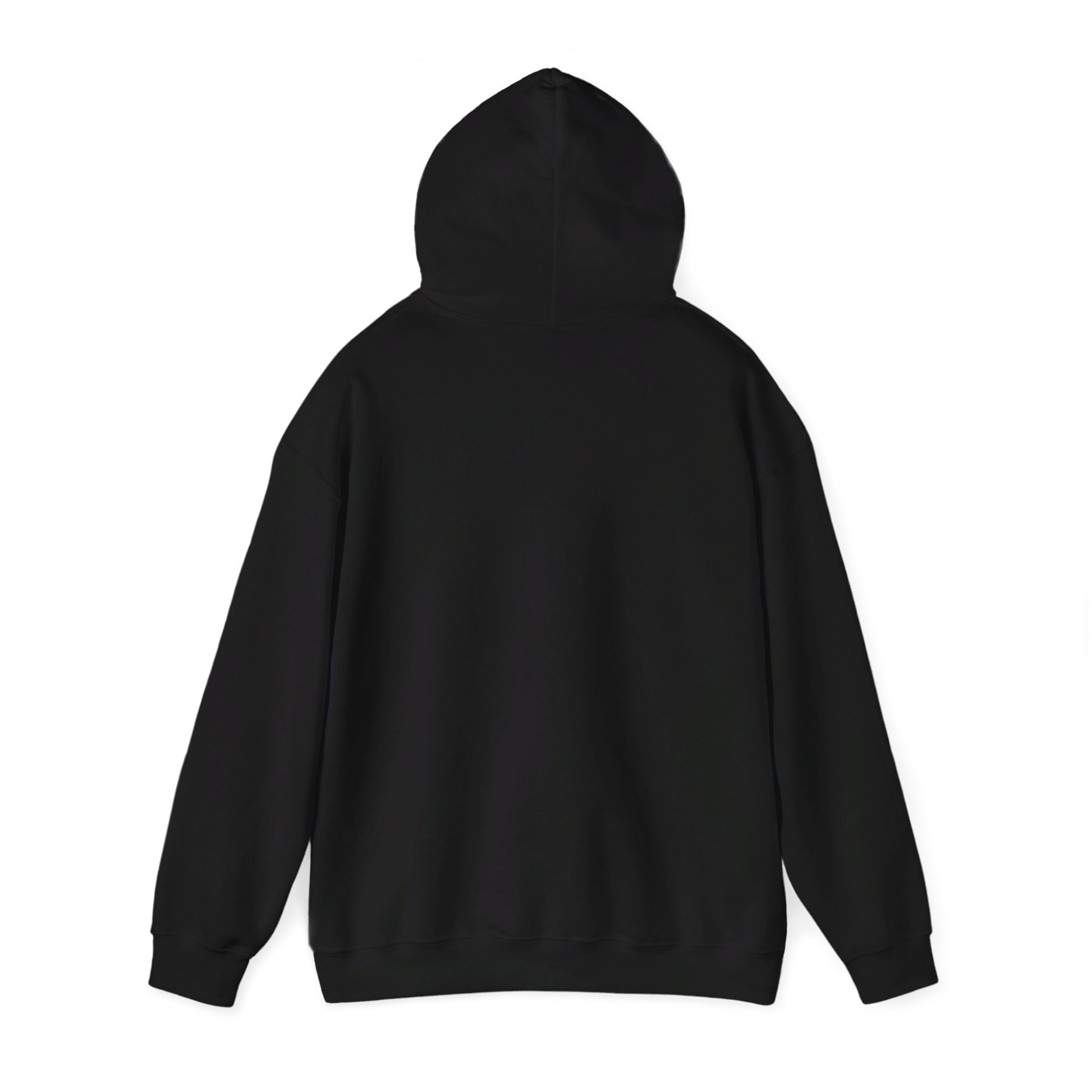 YOU BETTER HIT SOMEBODY Hooded Sweatshirt - Cool Dog Teez LLC
