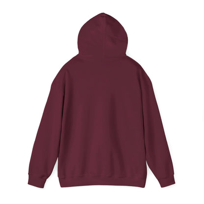 FoHi Steelers Football Hooded Sweatshirt - Cool Dog Teez LLC