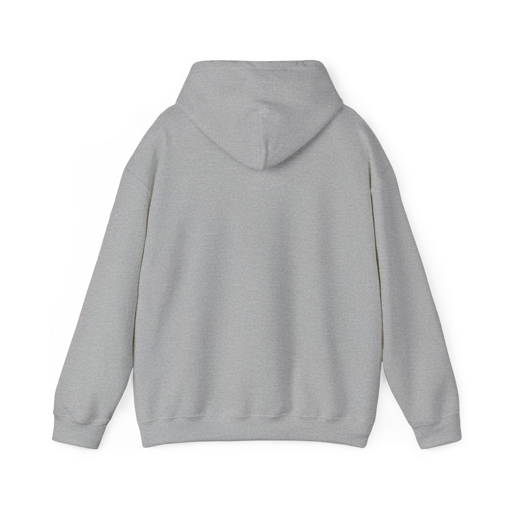 New Year Countdown Hoodie | 2026 Goals, New Year Motivation - Cool Dog Teez LLC