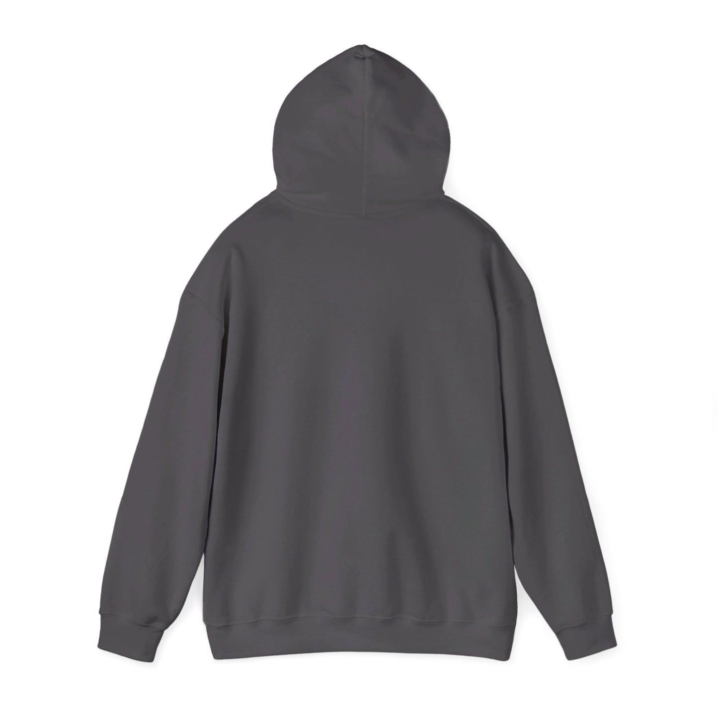 YOU BETTER HIT SOMEBODY Hooded Sweatshirt - Cool Dog Teez LLC