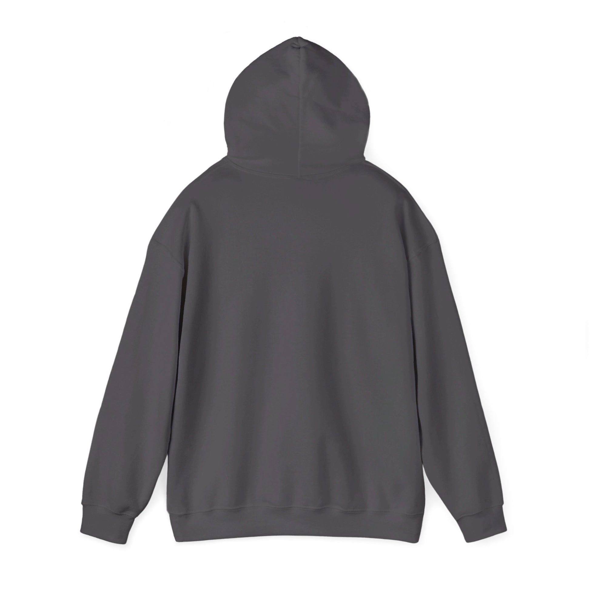 YOU BETTER HIT SOMEBODY Hooded Sweatshirt - Cool Dog Teez LLC
